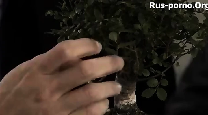 Жесткий секс с телкой и ее сочными сиськами
